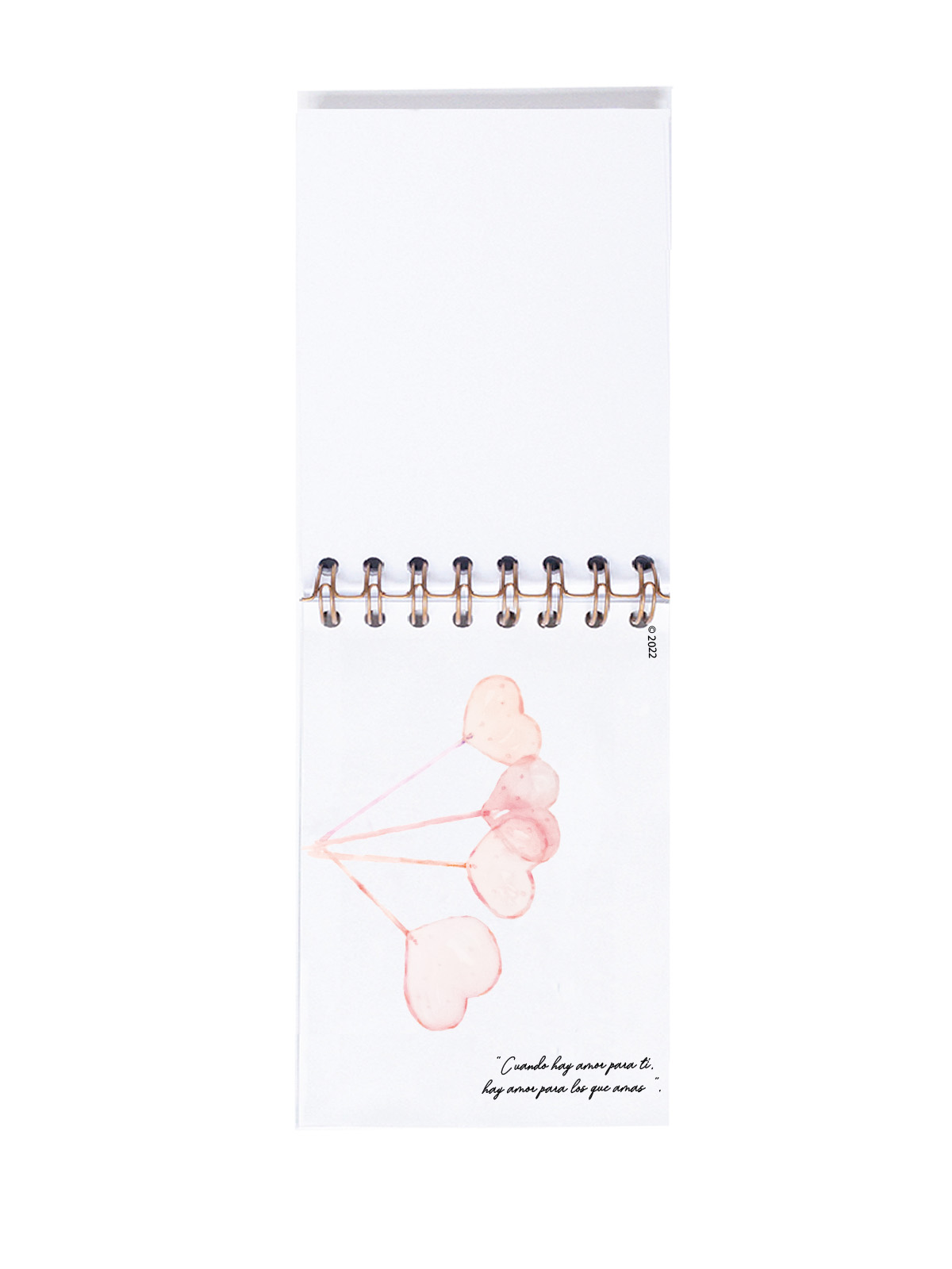 CUADERNO DE NOTAS A6 CONTRAPORTADA INTERIOR RABBIT
