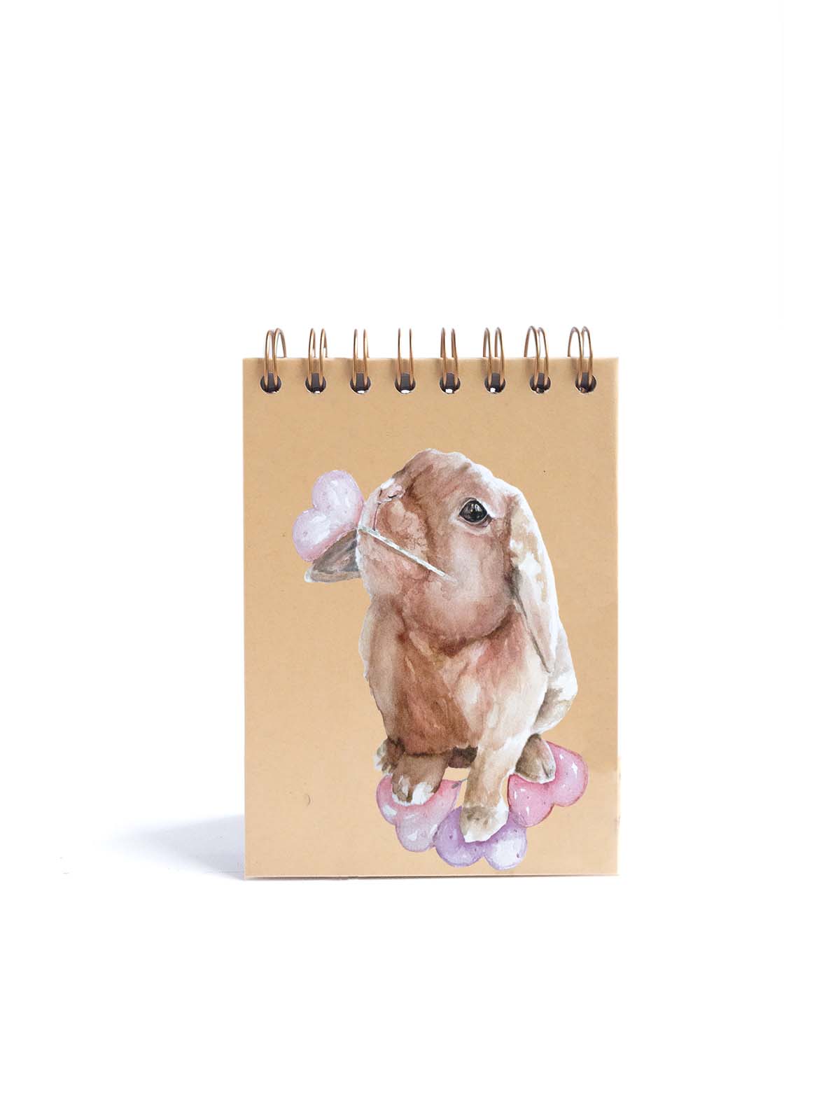 CUADERNO DE NOTAS A6 KRAFT CONTRAPORTADA RABBIT