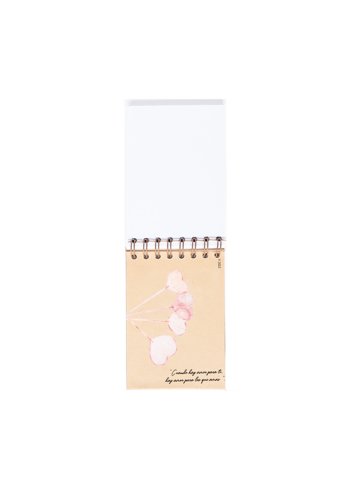 CUADERNO DE NOTAS A6 KRAFT CONTRAPORTADAS INTERIORES RABBIT