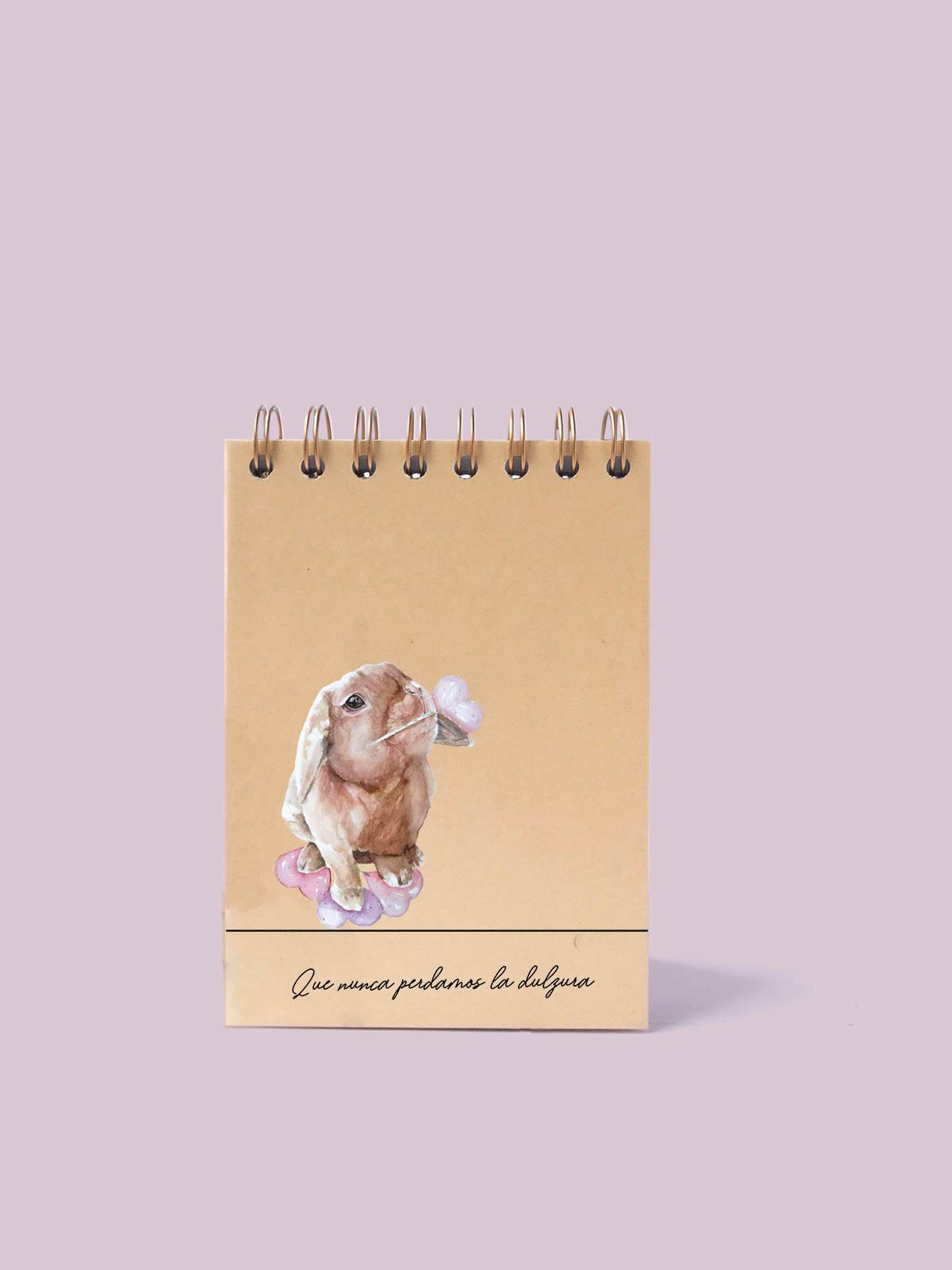 CUADERNO DE NOTAS A6 KRAFT PORTADA RABBIT