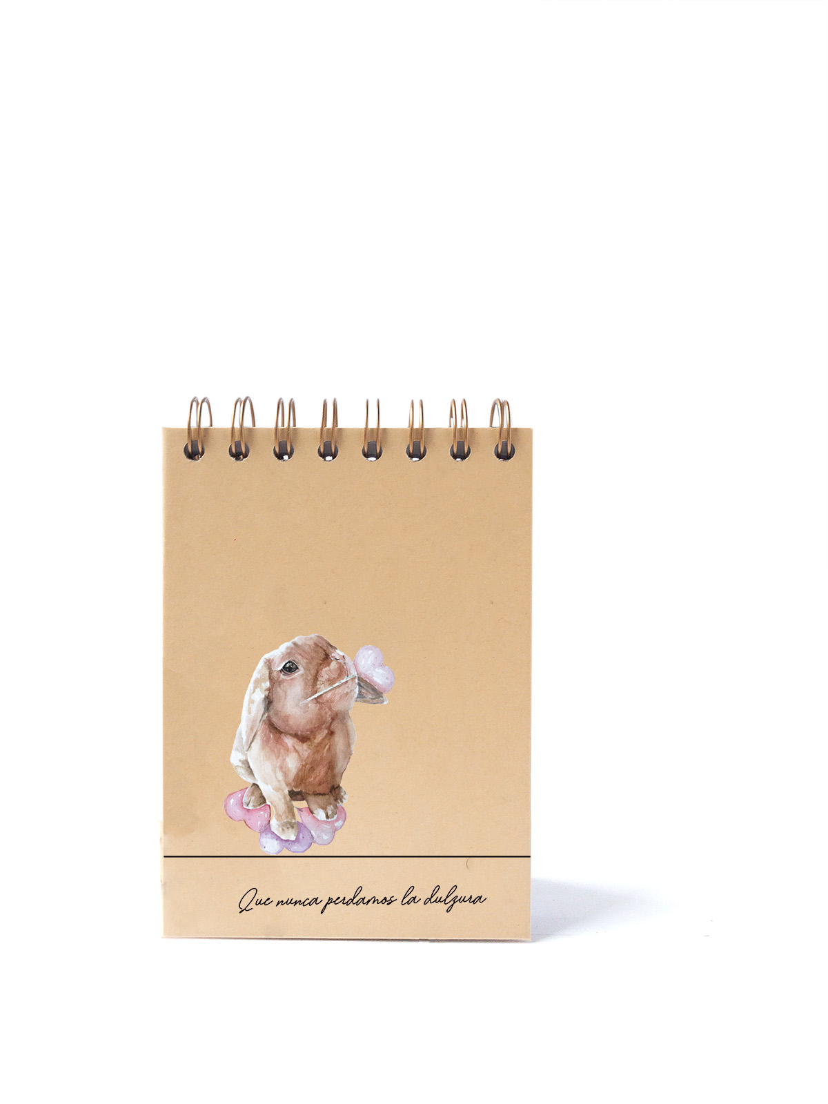 CUADERNO DE NOTAS A6 KRAFT PORTADA RABBIT