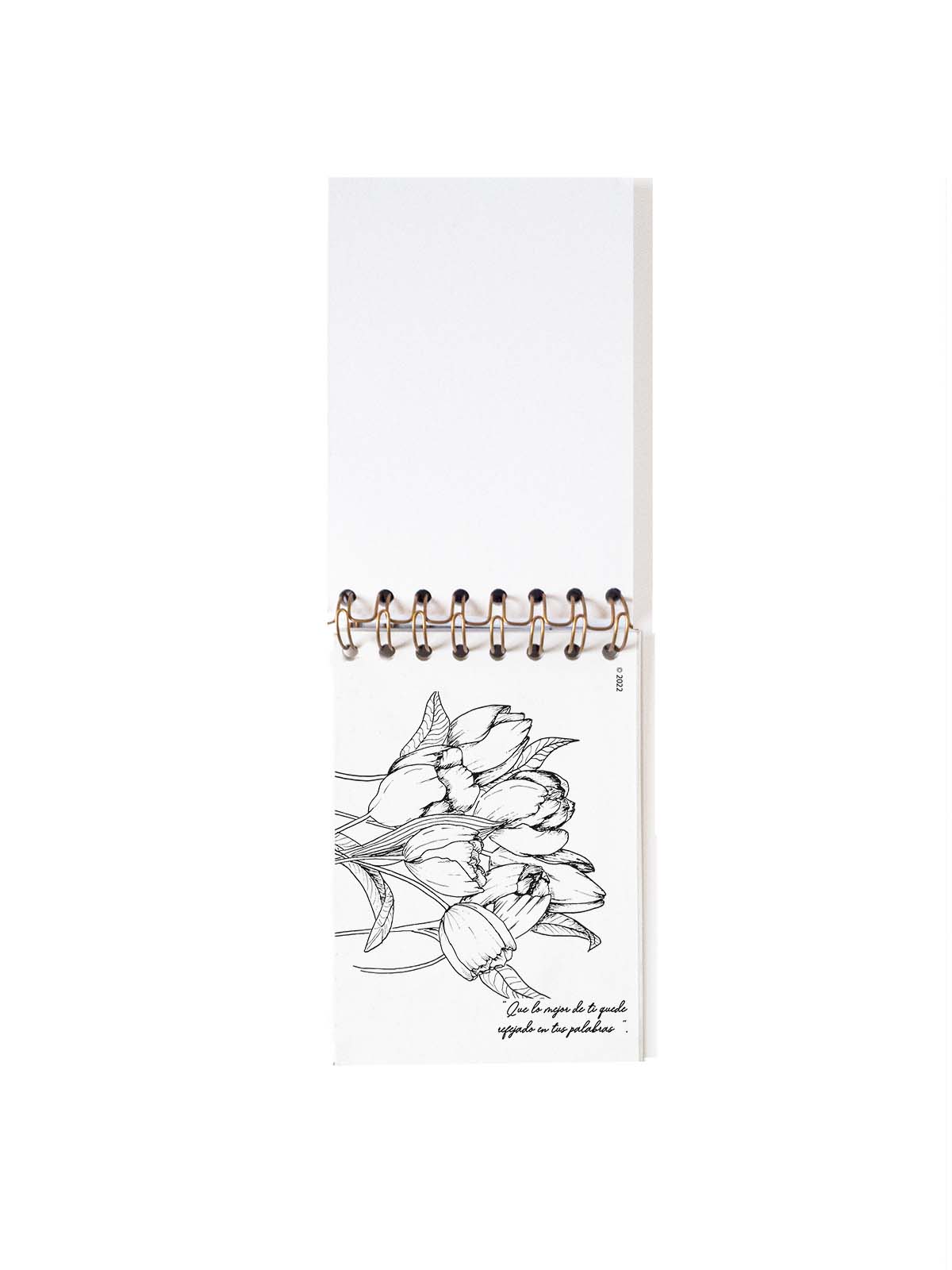 Cuaderno de notas A6 BLANCA CONTRAPORTADA TULIPANES