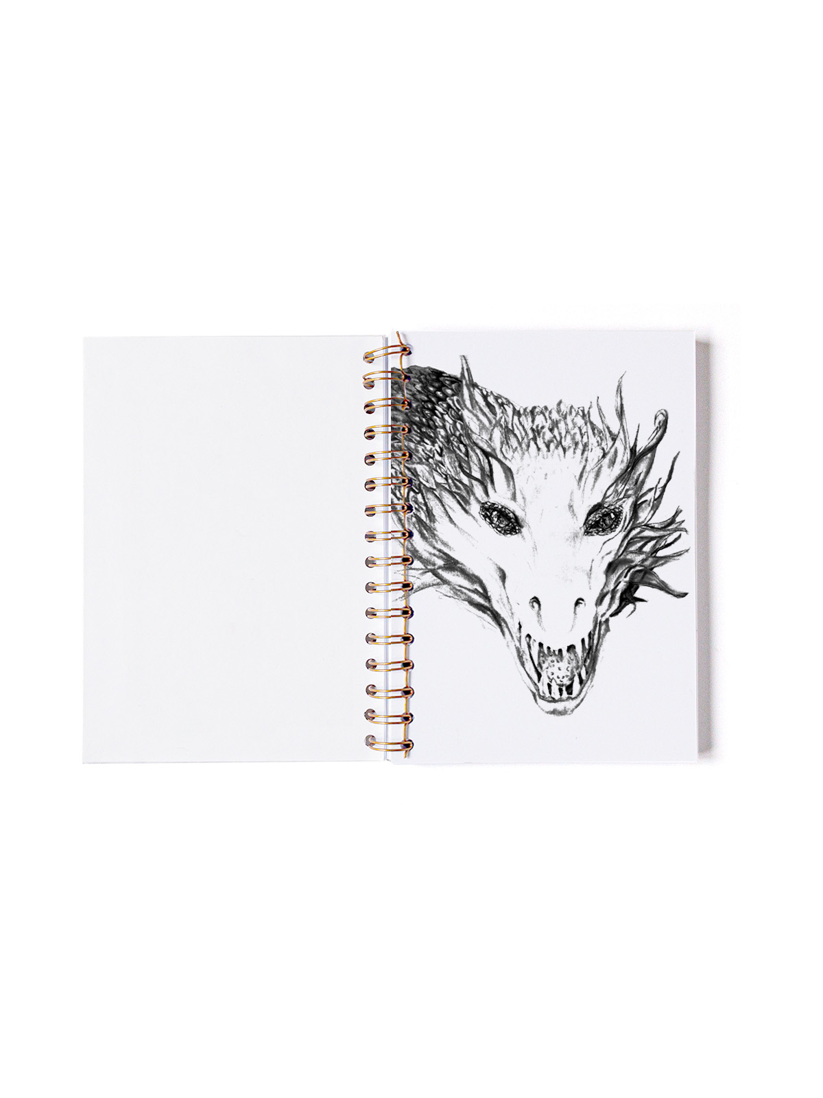 LIBRETA A5 BLANCA CONTRAPORTADA DRAGON LINEAL