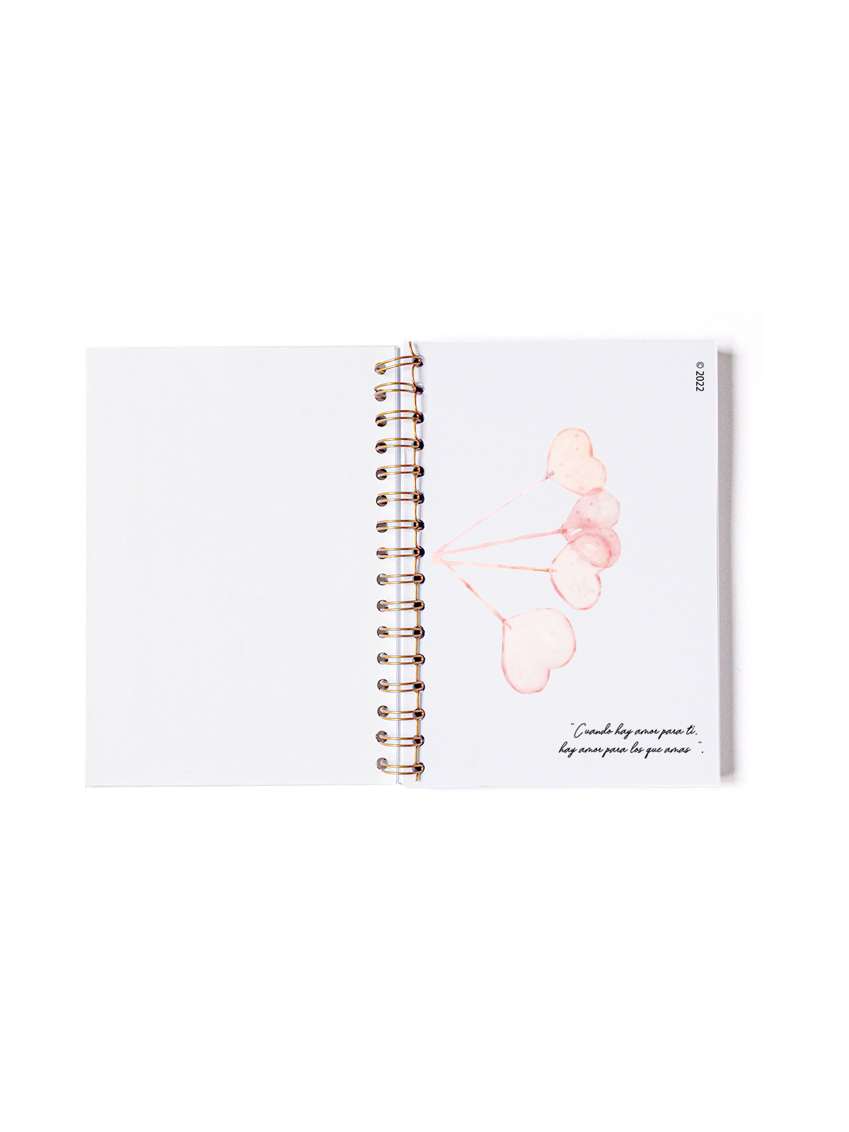 LIBRETA A5 BLANCA CONTRAPORTADA RABBIT