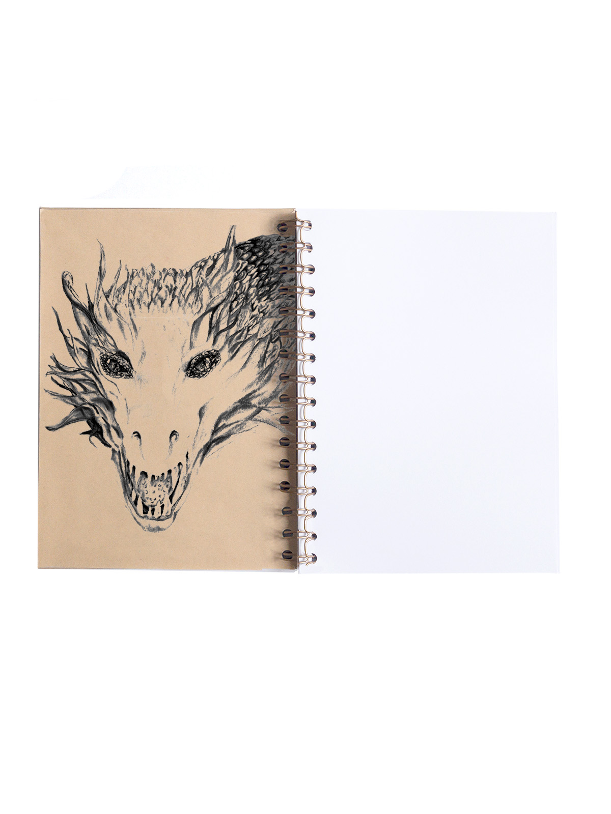 LIBRETA A5 KRAFT PORTADA INTERIOR DRAGON LINEAL
