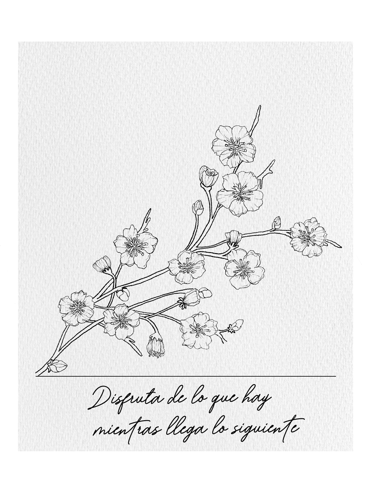 Litografía Cerezo