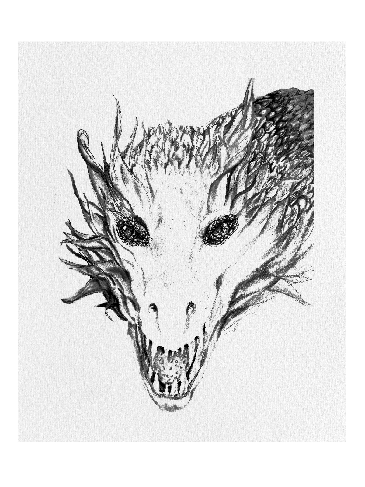 Litografía Dragon lineal