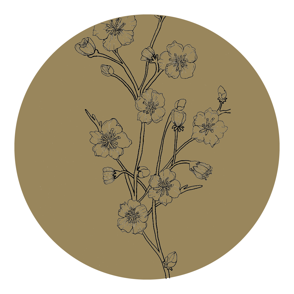 categoría_flora