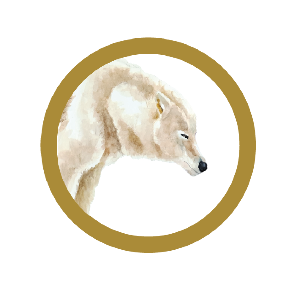 Fauna