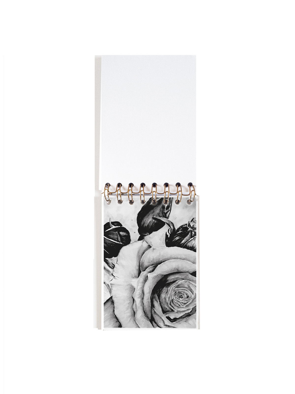 Cuaderno de notas A6 BLANCA CONTRAPORTADA INTERIOR DELANTERA_rose_rose