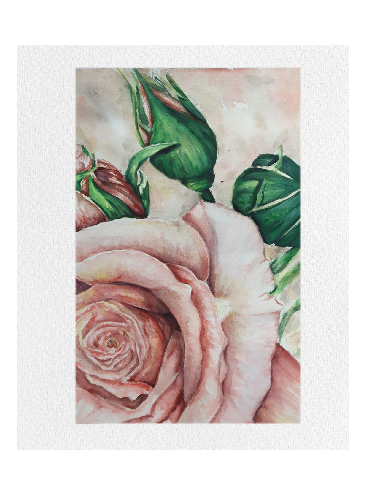 Litografía The Rose